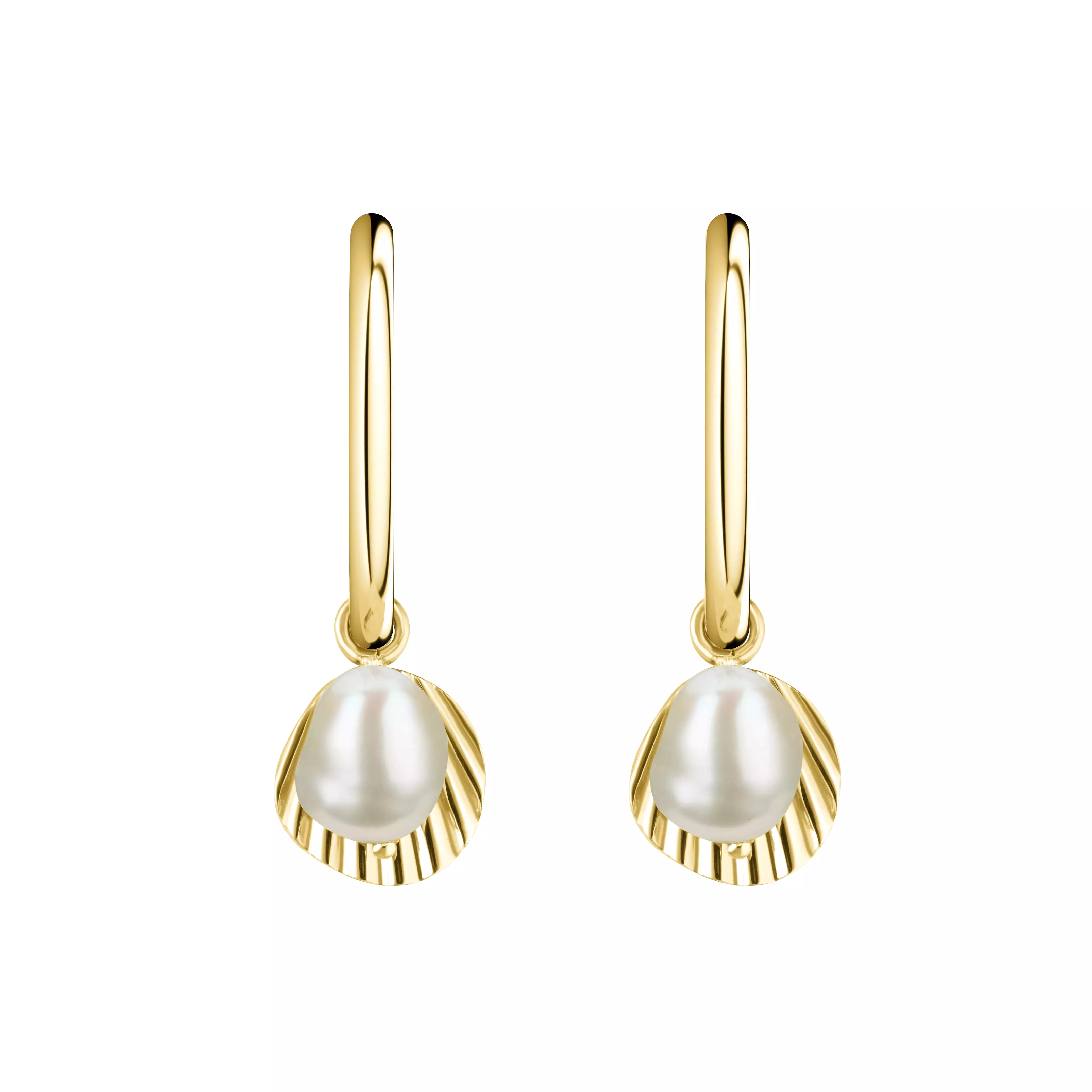 BLAK- Rosefield Shell & Pearl Drop Earring - Gold