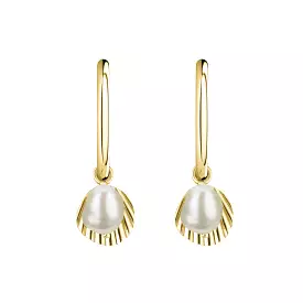 BLAK- Rosefield Shell & Pearl Drop Earring - Gold