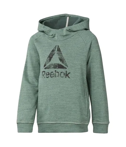 Reebok Boys Logo Hoodie Sweatshirt, TW3